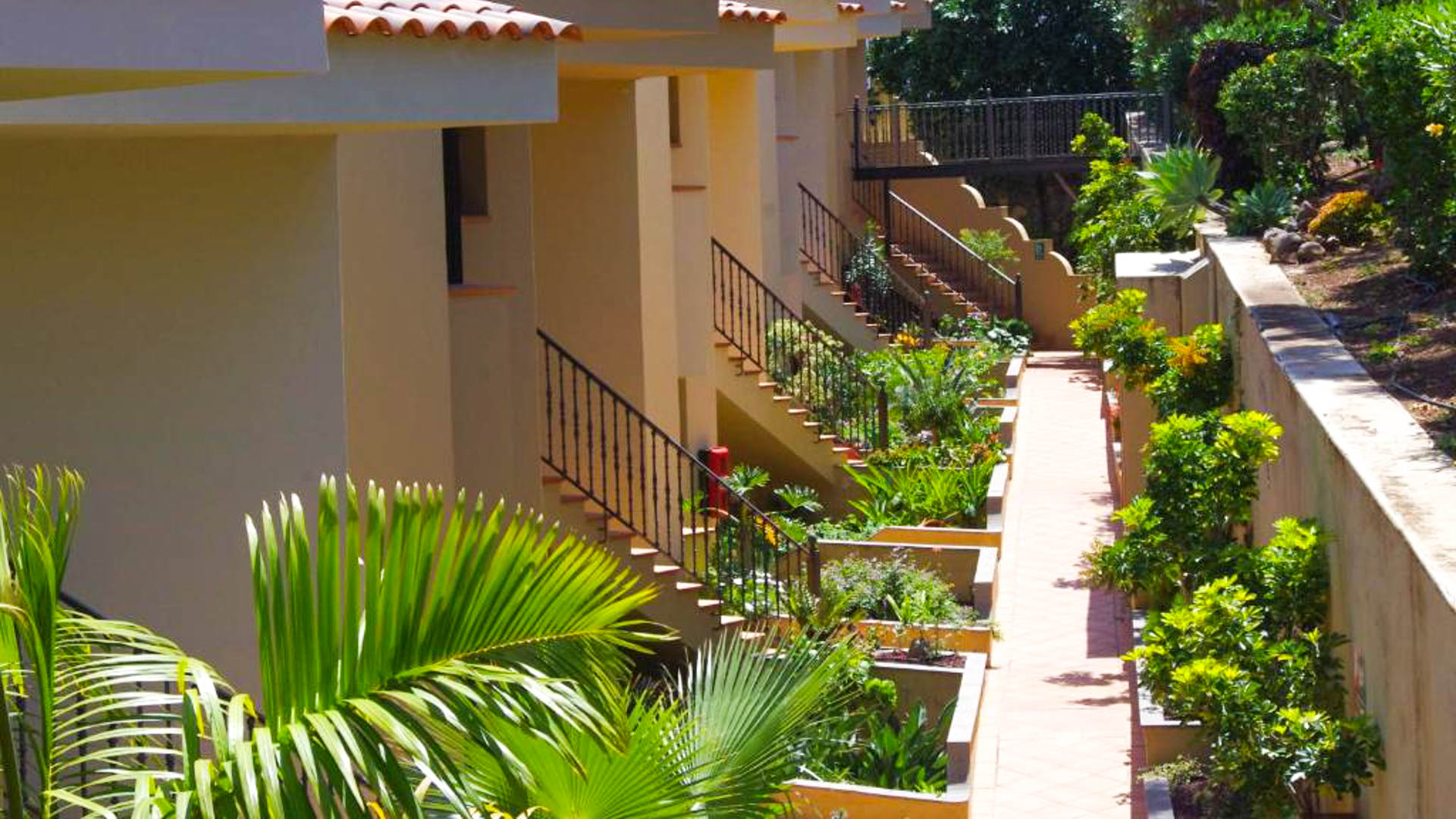 Apartamentos Playa De Los Roques
